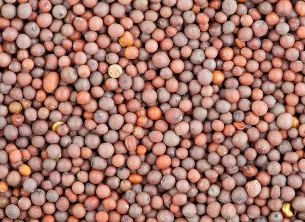 Indian Spice Seeds Black Mustard Background Any Use — Stock Photo, Image