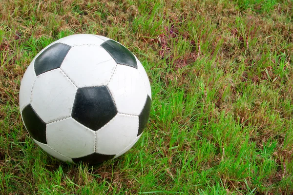 Pallone Calcio Sull Erba Verde Elemento Sportivo — Foto Stock