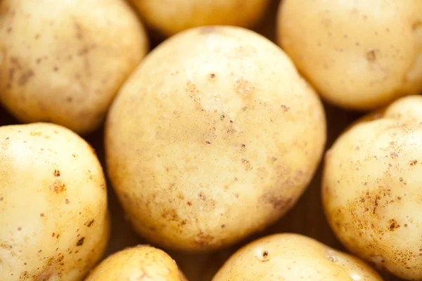 stock image Washed potatoes are close. Picture for vegetables, food ingredients, vegetable growing