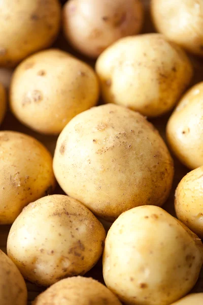 Stock image Potatoes close-up