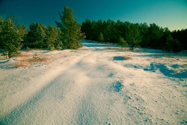 Kış Manzarası Orman Kaplı Kar Sürüklenir Berrak Gökyüzü — Stok fotoğraf