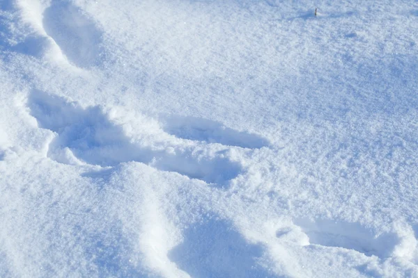 Spår Människan Och Den Djupa Snön Drivorna Symbol För Vintern — Stockfoto