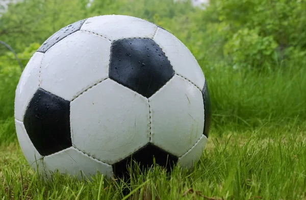 Ποδόσφαιρο Μπάλα Στο Χόρτο Clouse Επάνω Φυσικό Γυρίσματα — Φωτογραφία Αρχείου