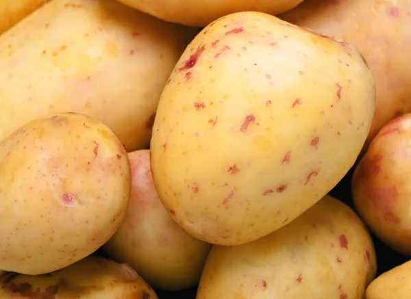 Washed Potatoes Close Picture Vegetables Food Ingredients Vegetable Growing — Stock Photo, Image