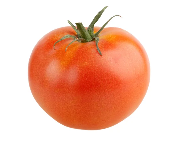 Bir domates izole — Stok fotoğraf