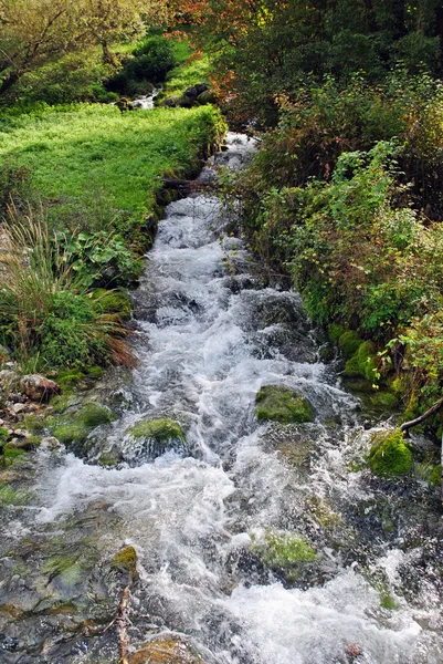 Freshwater stream — Stock Photo, Image
