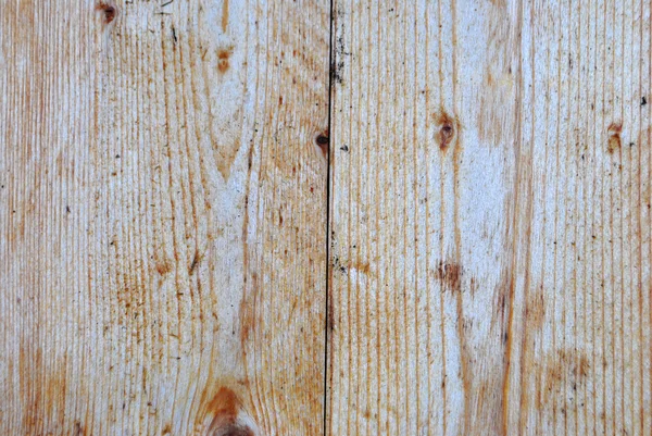 Larício de madeira — Fotografia de Stock