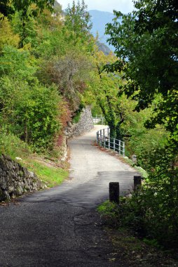 kırsal yol