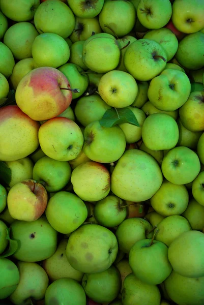 テクスチャの黄色いりんご — ストック写真