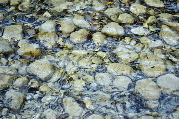 Stenen in een rivier — Stockfoto