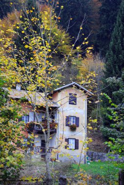 kır evi