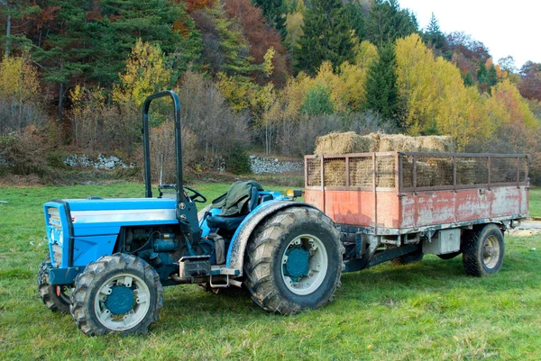 Gräsmatta traktor — Stockfoto