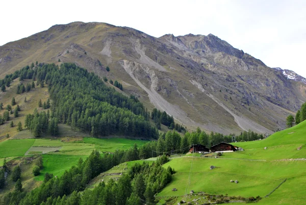 Dolina w Dolomity — Zdjęcie stockowe