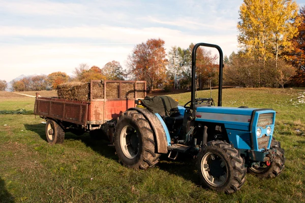 Gräsmatta traktor — Stockfoto