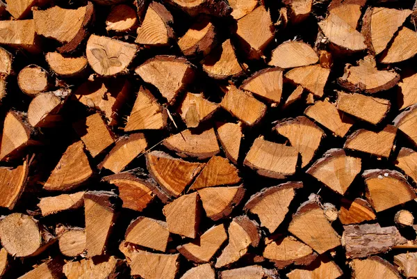 Brennholz Lärche — Stockfoto