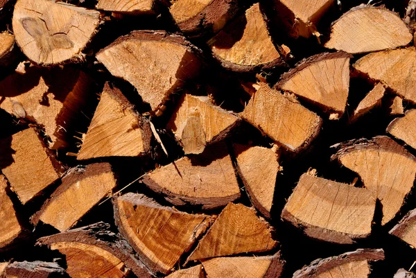 Larice di legna da ardere — Foto Stock