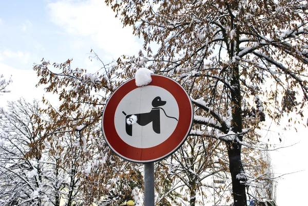 Zakaz psy krok — Zdjęcie stockowe