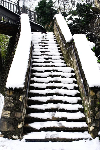 Queda de neve — Fotografia de Stock