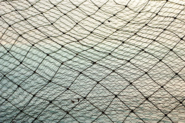 Wire mesh — Stock Photo, Image