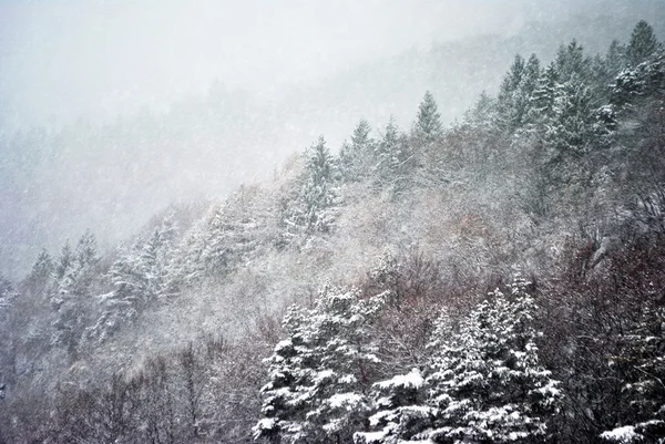 Снежная гора — стоковое фото