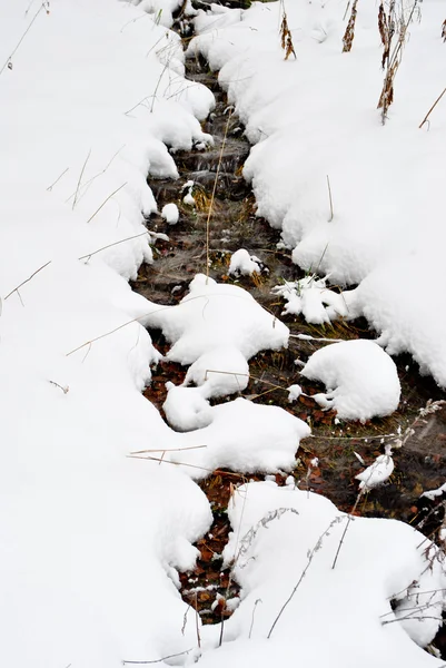 Schneewittchen — Stockfoto