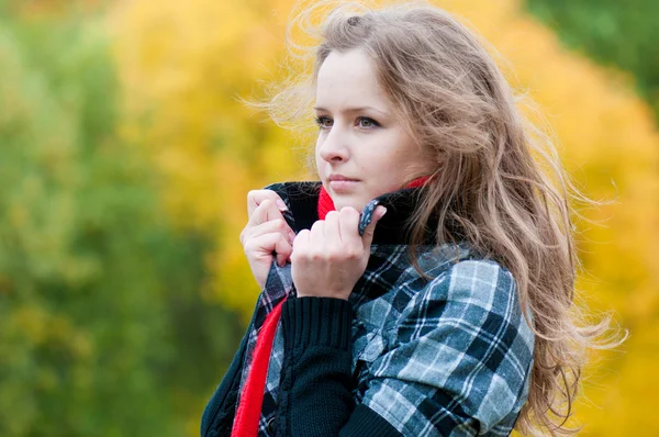 stock image Very beautiful young girl in park