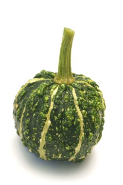 Dekoratif kabak (Cucurbita L.)