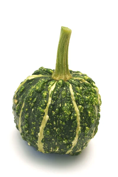 Decorative pumpkin (Cucurbita L.) — Stock Photo, Image