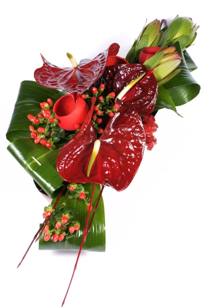 Çiçek kompozisyon, floristik — Stok fotoğraf