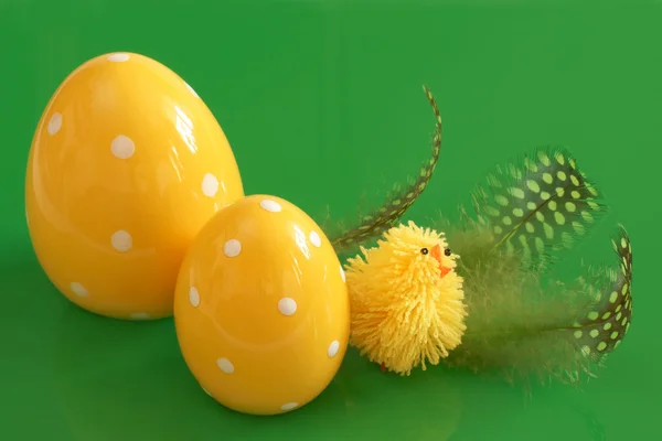 Easter eggs, chicken and feathers — Fotografia de Stock