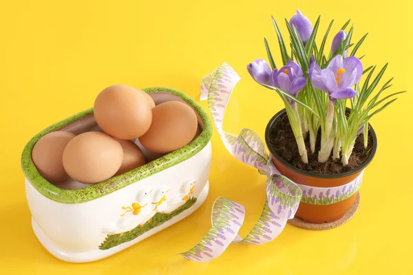 Jaja, krokusy, Wielkanoc — Zdjęcie stockowe