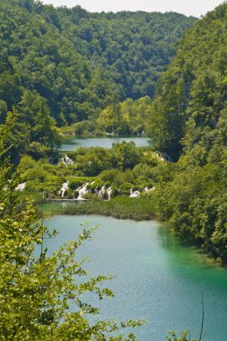 Plitvice Gölleri Ulusal Parkı