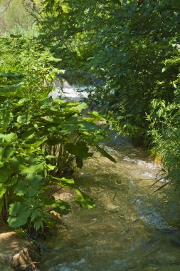 Plitvice Gölleri Ulusal Parkı