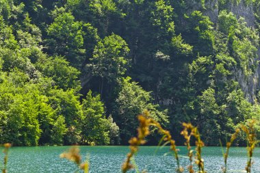 Plitvice Gölleri Ulusal Parkı