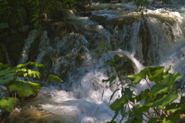 Plitvice Gölleri Ulusal Parkı