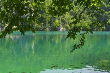 Plitvice Gölleri Ulusal Parkı