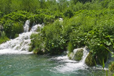 Plitvice Gölleri Ulusal Parkı