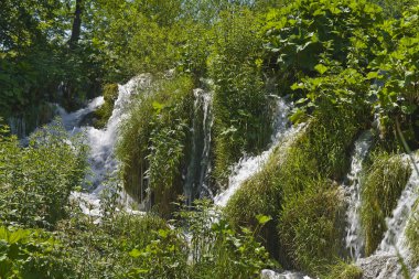 Plitvice Gölleri Ulusal Parkı