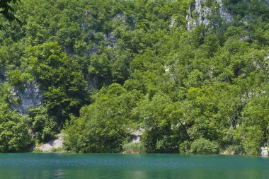 Plitvice Gölleri Ulusal Parkı