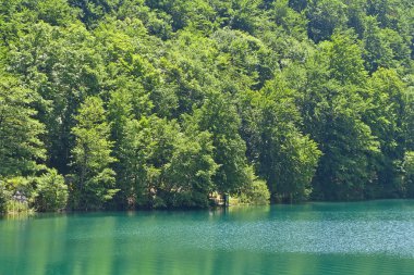 Plitvice Gölleri Ulusal Parkı