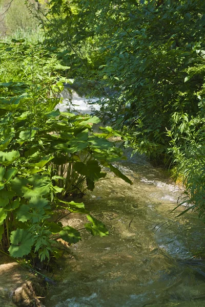 Plitvice Søernes nationalpark - Stock-foto