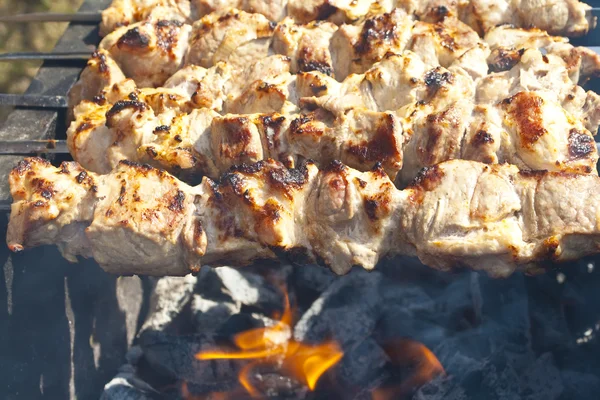 Shish kebab en la parrilla — Foto de Stock