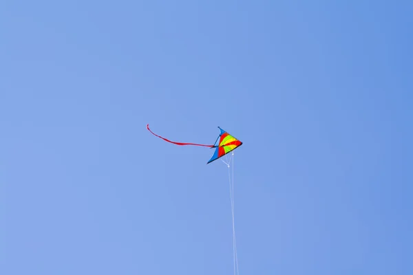 凧 — ストック写真