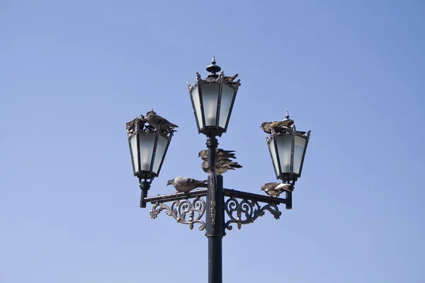 stock image Street lamps