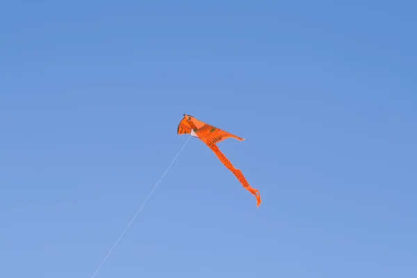 凧 — ストック写真