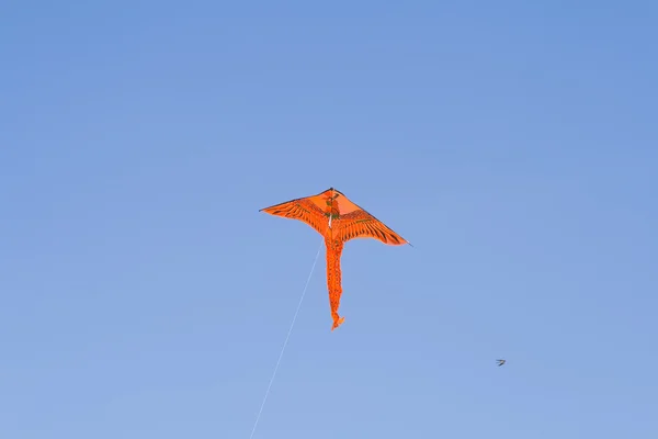 Kite — Stock Photo, Image