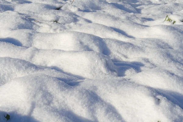 Snö — Stockfoto