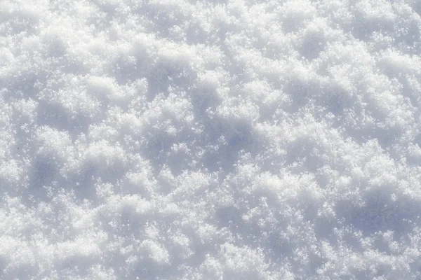 Zăpadă — Fotografie, imagine de stoc