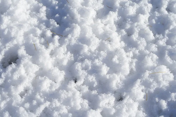 Snow — Stock Photo, Image