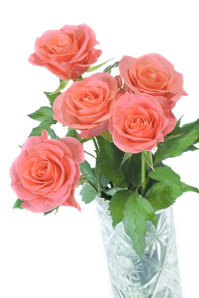 Róże Zdjęcie Stockowe